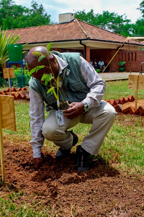 Kamuzu Academy Annual Tree Planting exercise 2025 - Image 14
